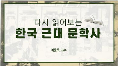 다시 읽어보는 한국의 근대문학사